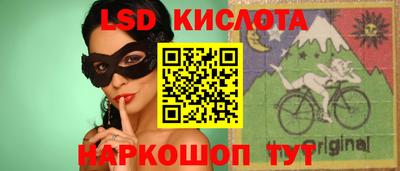 PSILOCYBIN Гатчина