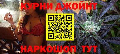 PSILOCYBIN Гатчина