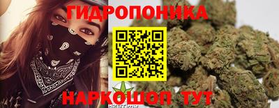 PSILOCYBIN Гатчина