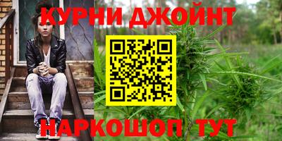 PSILOCYBIN Гатчина