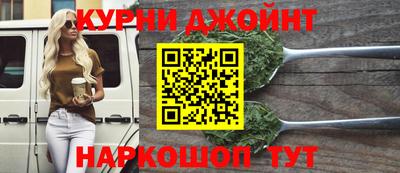 PSILOCYBIN Гатчина