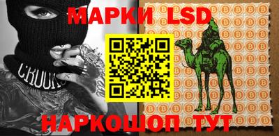 PSILOCYBIN Гатчина