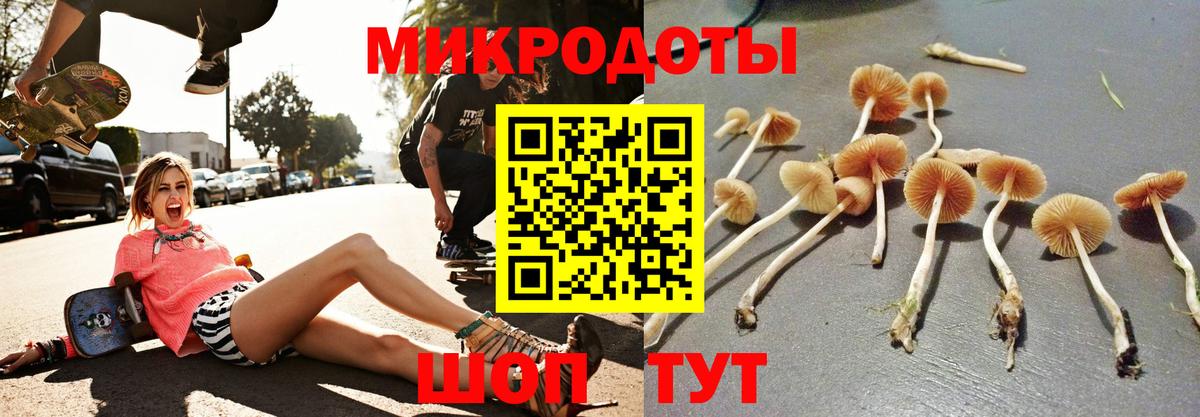 Псилоцибиновые грибы мухоморы Искитим